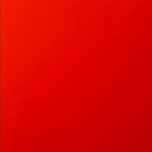 Meet your Posher, Terica